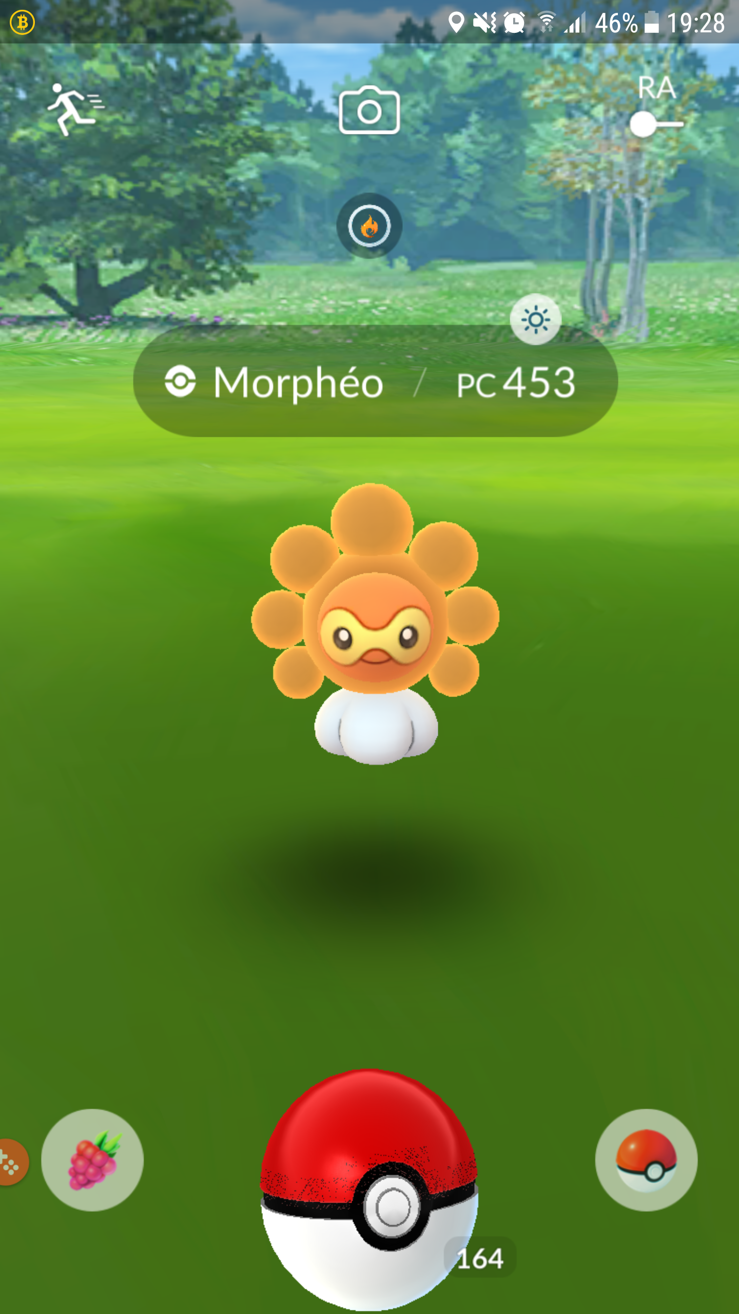Pokémon Go - Morphéo - Pc 453